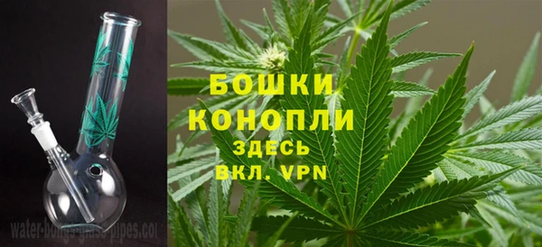 spice Абаза