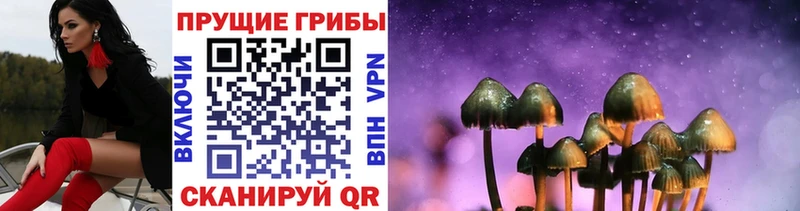 Галлюциногенные грибы MAGIC MUSHROOMS  Рязань 